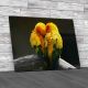 Pair Lovebirds Canvas Print Large Picture Wall Art
