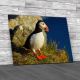 Puffin Canvas Print Large Picture Wall Art