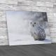 Snowy Owl Canvas Print Large Picture Wall Art