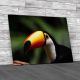 Toucan Canvas Print Large Picture Wall Art