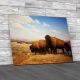 Herd Of Bison Canvas Print Large Picture Wall Art