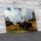 Buffalo In Yellowstone National Park Canvas Print Large Picture Wall Art