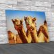 Camels In Arabia Canvas Print Large Picture Wall Art
