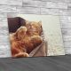 Ginger Cat Sleeps Canvas Print Large Picture Wall Art