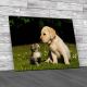 Cat And Dog Canvas Print Large Picture Wall Art