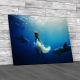 Swimming With Dolphins Canvas Print Large Picture Wall Art