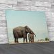 Elephant Mother And Baby Canvas Print Large Picture Wall Art