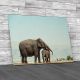 Elephant Mother And Baby Canvas Print Large Picture Wall Art