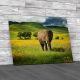 Elephant With Yellow Wild Flowers Canvas Print Large Picture Wall Art