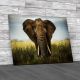 Elephant Canvas Print Large Picture Wall Art