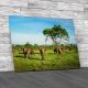 Elephants In African Savannah Canvas Print Large Picture Wall Art