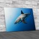 Great White Shark Canvas Print Large Picture Wall Art