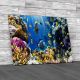 Tropical Fish On A Coral Reef Canvas Print Large Picture Wall Art