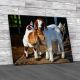 Baby Goats Canvas Print Large Picture Wall Art