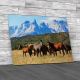 Wild Horses In Patagonia Canvas Print Large Picture Wall Art