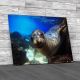 Sea Lion Swimming Underwater Canvas Print Large Picture Wall Art