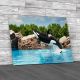 Killer Whale Jumping Out Of The Water Canvas Print Large Picture Wall Art