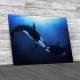 Orca Tenderness Canvas Print Large Picture Wall Art
