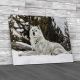 Gray Wolf Canvas Print Large Picture Wall Art