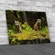Two Wolves On The Rocks Canvas Print Large Picture Wall Art