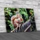 Squirrel In St James Park London Canvas Print Large Picture Wall Art