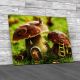 Mushroom Houses Canvas Print Large Picture Wall Art