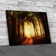 Road Through A Golden Forest Canvas Print Large Picture Wall Art