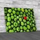 Green Tomatoes Canvas Print Large Picture Wall Art