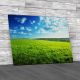 Field Of Spring Grass Canvas Print Large Picture Wall Art