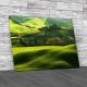 Green Field Tuscany Italy Canvas Print Large Picture Wall Art