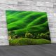 Hills Of Tuscany Italy Canvas Print Large Picture Wall Art