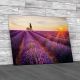Lavender Field In Provence France Canvas Print Large Picture Wall Art