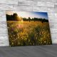 Sun Drenched Sunflowers At Dusk Canvas Print Large Picture Wall Art