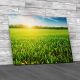 Sunrise Over The Corn Field Canvas Print Large Picture Wall Art