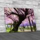 The Great Wisteria Flower Canvas Print Large Picture Wall Art
