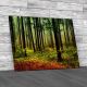 Autumn Forest Canvas Print Large Picture Wall Art