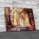 Autumn Trees In Sunbeams Canvas Print Large Picture Wall Art