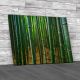 Bamboo Forest In Kyoto Japan Canvas Print Large Picture Wall Art