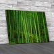 Bamboo Forest Canvas Print Large Picture Wall Art