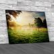 Clearing In The Forest Canvas Print Large Picture Wall Art