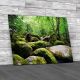 Rocks And Tree Canvas Print Large Picture Wall Art