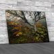 Autumn At Craggy Gardens North Carolina Canvas Print Large Picture Wall Art