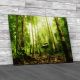 Green Forest And Huts Malaysia Canvas Print Large Picture Wall Art