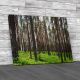 Pine Forest Canvas Print Large Picture Wall Art