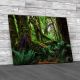 Rain Forest Scene Canvas Print Large Picture Wall Art