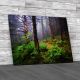 Foggy Forest North Carolina Canvas Print Large Picture Wall Art
