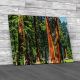 Giant Sequoia Trees California Canvas Print Large Picture Wall Art