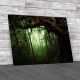Tropical Rain Forest Canvas Print Large Picture Wall Art