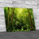Tropical Rainforest Landscape Malaysia Canvas Print Large Picture Wall Art