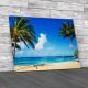 Coconut Palm Tree In Hawaii Canvas Print Large Picture Wall Art